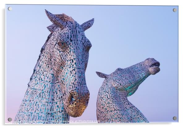 The Kelpies at Sunset Acrylic by Stephen Taylor