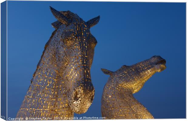 Yellow Kelpies Canvas Print by Stephen Taylor