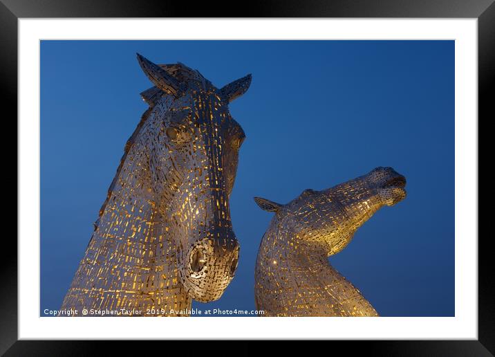 Yellow Kelpies Framed Mounted Print by Stephen Taylor