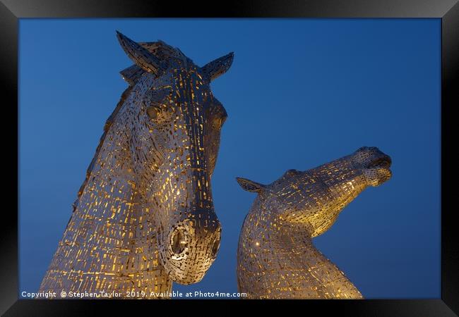 Yellow Kelpies Framed Print by Stephen Taylor