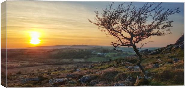 Sunset over Dartmoor National Park Canvas Print by Daniel Rose