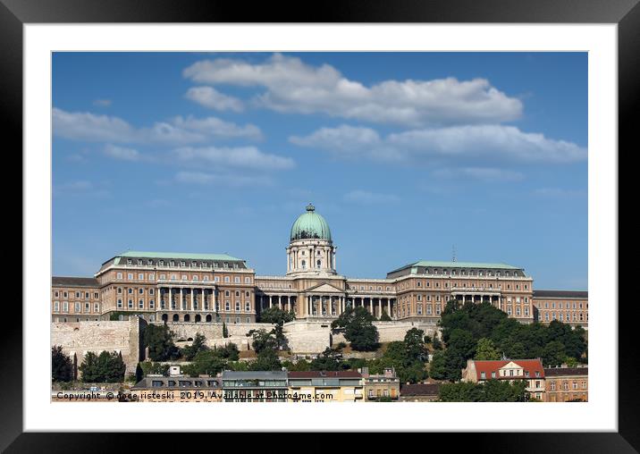 royal castle on hill Budapest Framed Mounted Print by goce risteski
