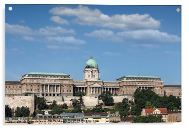 royal castle on hill Budapest Acrylic by goce risteski