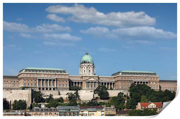 royal castle on hill Budapest Print by goce risteski