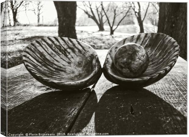Shell With Pearl Bw Canvas Print by Florin Birjoveanu