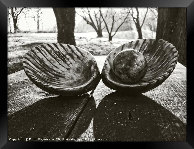 Shell With Pearl Bw Framed Print by Florin Birjoveanu