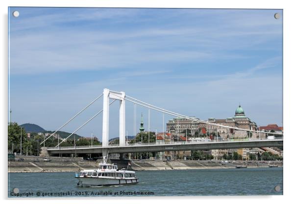 Elisabeth bridge on Danube river Budapest Acrylic by goce risteski
