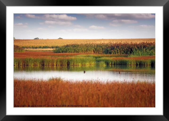 swamp nature landscape autumn season Framed Mounted Print by goce risteski