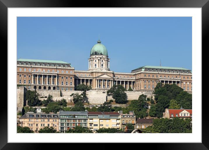 Royal castle Budapest landmark Hungary Framed Mounted Print by goce risteski