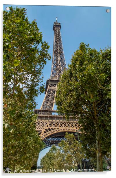 Paris Eiffel Tower Acrylic by Antony Atkinson