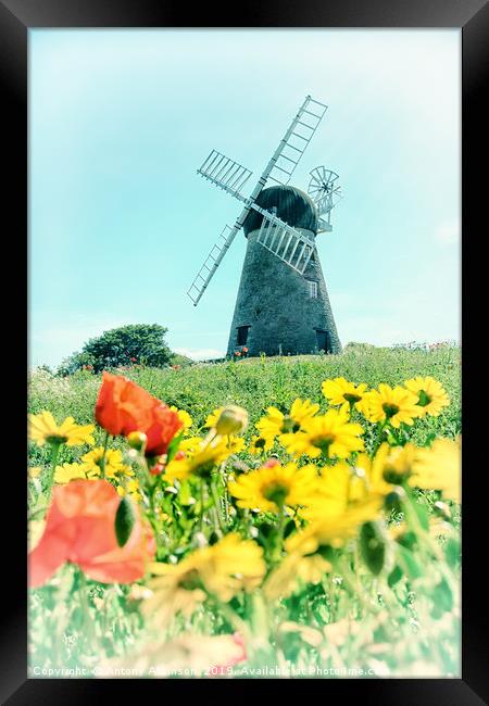 Sunderland Roker Windmill Framed Print by Antony Atkinson