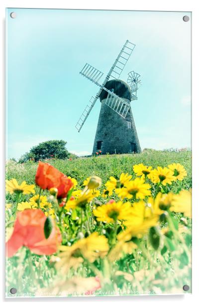 Sunderland Roker Windmill Acrylic by Antony Atkinson