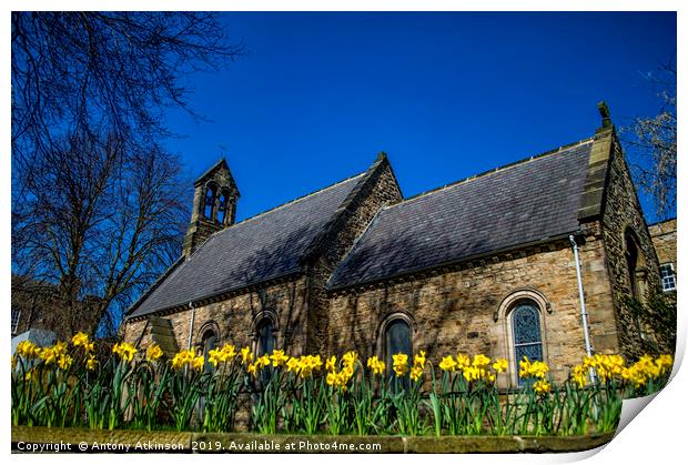 Spring in Durham Print by Antony Atkinson
