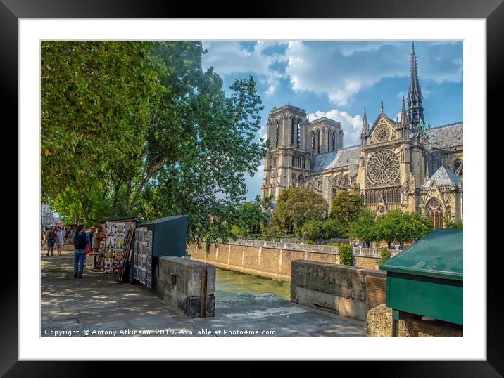 Notre Dame Framed Mounted Print by Antony Atkinson