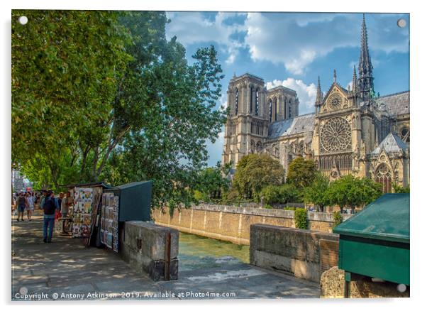 Notre Dame Acrylic by Antony Atkinson