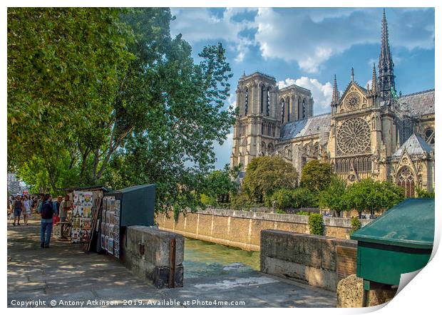 Notre Dame Print by Antony Atkinson