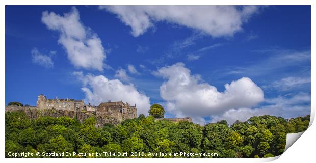 Stirling Castle Panorama Print by Tylie Duff Photo Art