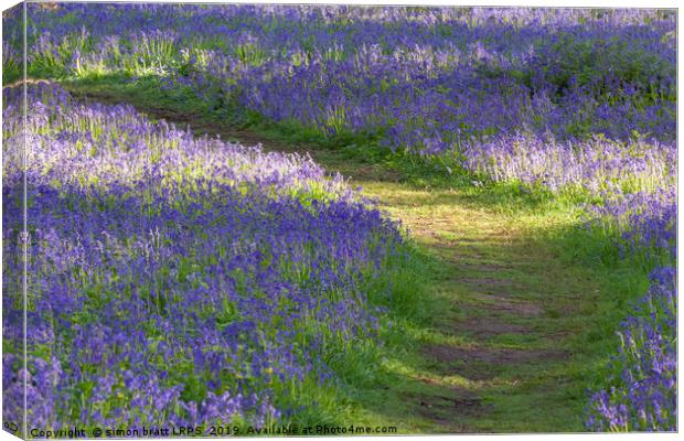 Path through bluebell woodland in spring Canvas Print by Simon Bratt LRPS