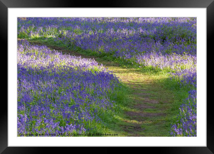 Path through bluebell woodland in spring Framed Mounted Print by Simon Bratt LRPS