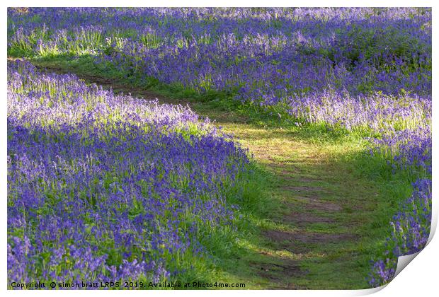 Path through bluebell woodland in spring Print by Simon Bratt LRPS