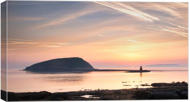 Puffin island sunrise Anglesey Canvas Print by Ray Tickle
