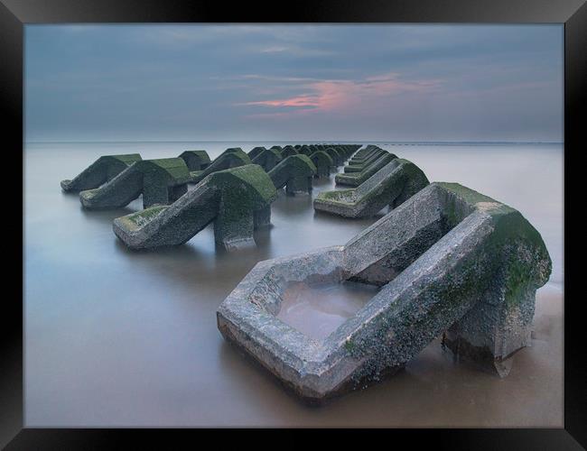 Sea defences Framed Print by Ray Tickle