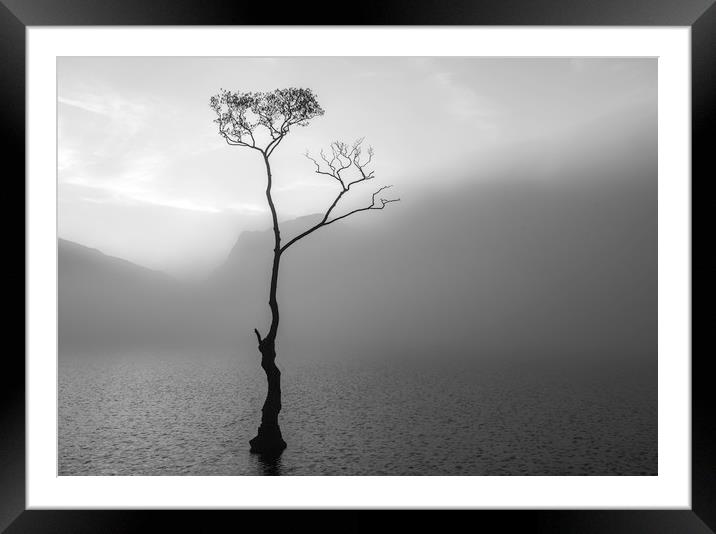Alone at Dawn Framed Mounted Print by Robbie Spencer