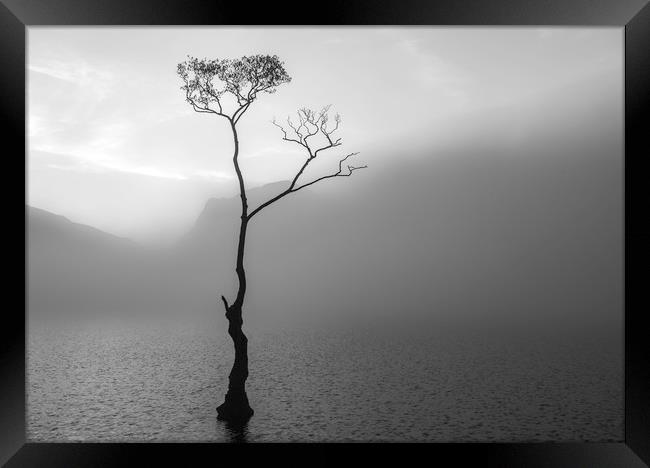 Alone at Dawn Framed Print by Robbie Spencer