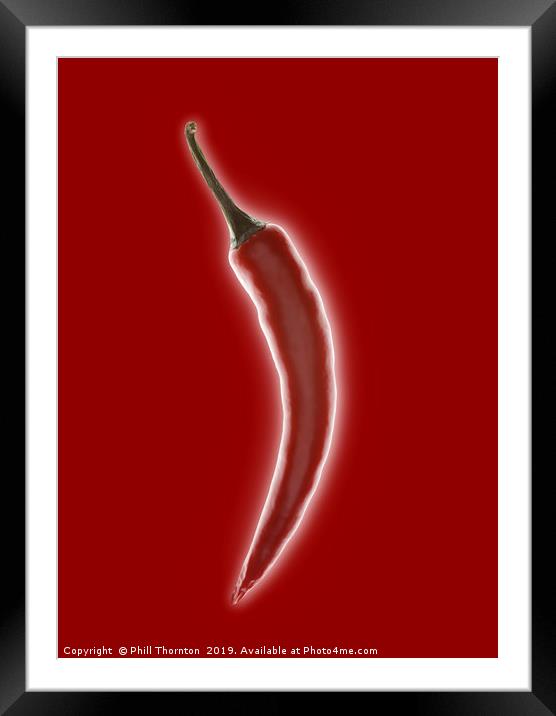 Chilli pepper Framed Mounted Print by Phill Thornton