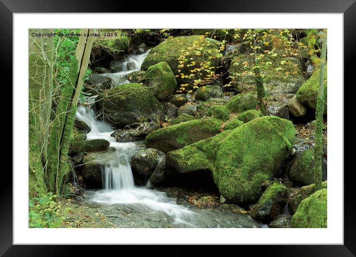 MOSS ROCKS Framed Mounted Print by andrew saxton