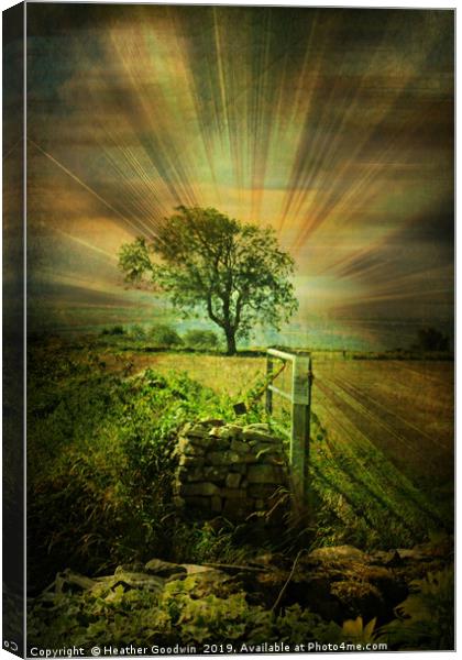 Jacob's Field Canvas Print by Heather Goodwin