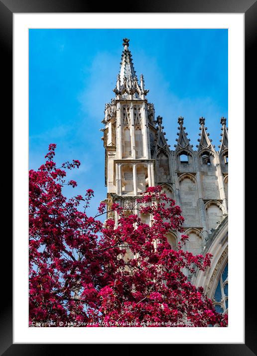 York Minster Spring Blooms Framed Mounted Print by John Stoves