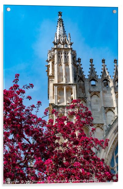 York Minster Spring Blooms Acrylic by John Stoves
