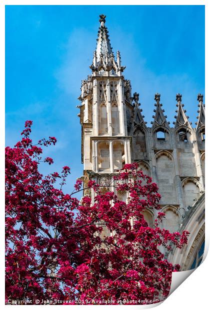 York Minster Spring Blooms Print by John Stoves