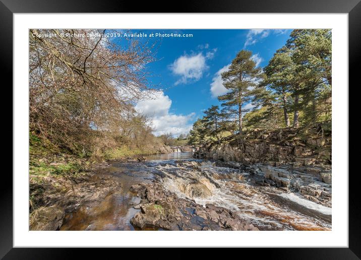 Low Force Waterfall, Upper Teesdale, in Spring Framed Mounted Print by Richard Laidler
