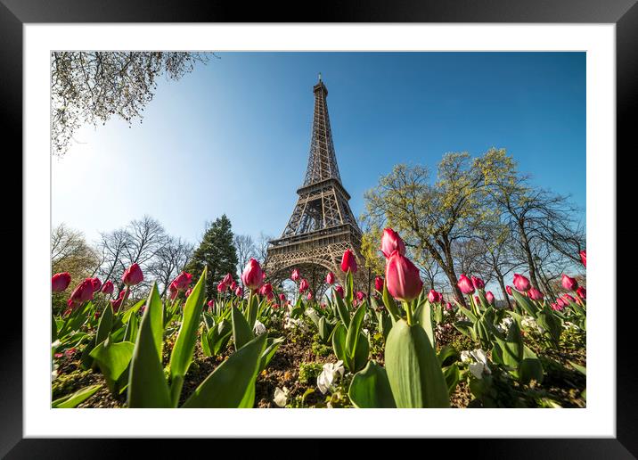 Spring in Paris Framed Mounted Print by peter schickert