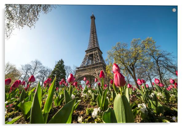 Spring in Paris Acrylic by peter schickert