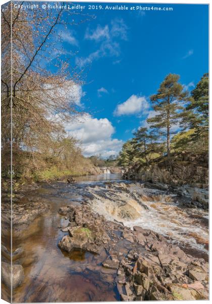 Springtime at Low Force Waterfall, Upper Teesdale Canvas Print by Richard Laidler