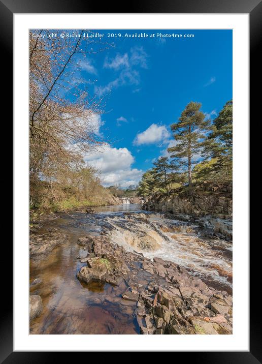 Springtime at Low Force Waterfall, Upper Teesdale Framed Mounted Print by Richard Laidler