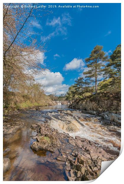 Springtime at Low Force Waterfall, Upper Teesdale Print by Richard Laidler