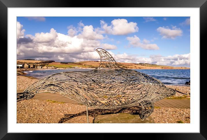 The Stonehaven Dolphin Framed Mounted Print by Naylor's Photography