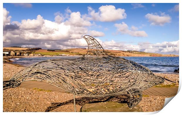 The Stonehaven Dolphin Print by Naylor's Photography