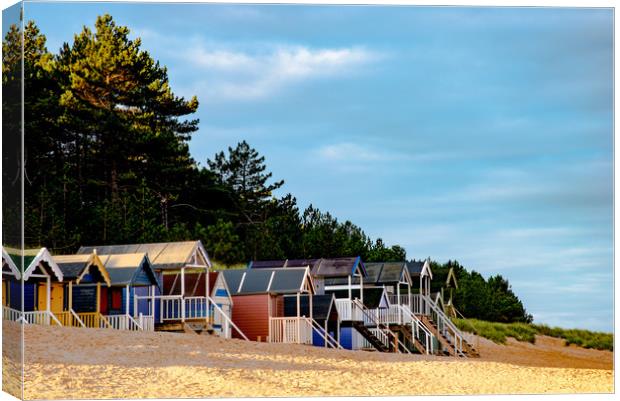 Beach huts & golden sands Canvas Print by Robbie Spencer