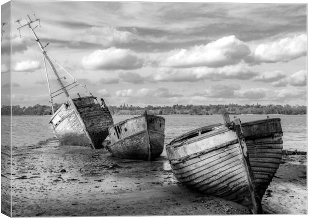 Ravages of Time and Tide Canvas Print by Robbie Spencer