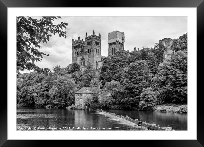 Durham Cathedral Framed Mounted Print by Antony Atkinson