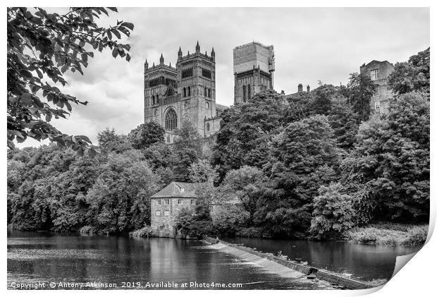 Durham Cathedral Print by Antony Atkinson