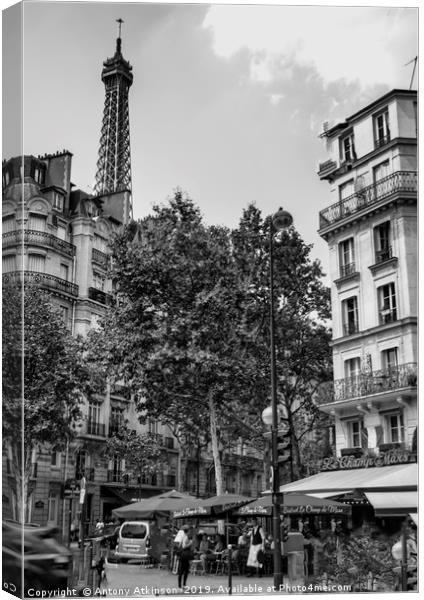 Paris Cafe in Black and White Canvas Print by Antony Atkinson