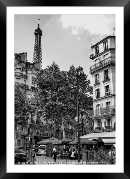 Paris Cafe in Black and White Framed Mounted Print by Antony Atkinson