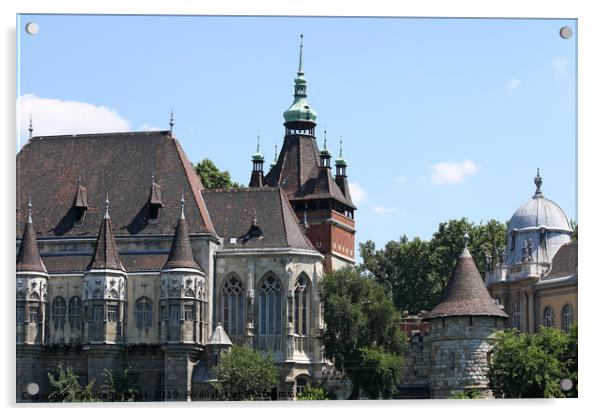 castle vajdahunyad landmark Budapest Hungary Acrylic by goce risteski