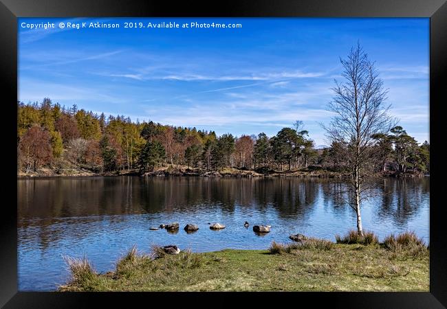 Tarn Hows Framed Print by Reg K Atkinson